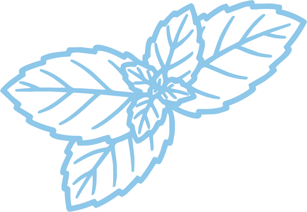 An illustration of mint leaves, drawn in light blue