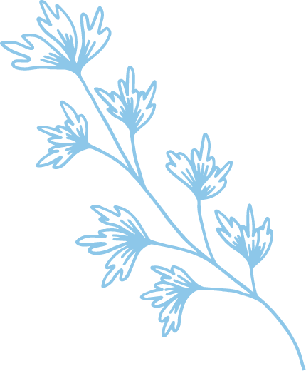 A stylized illustration of a sprig of parsley, drawn in light blue