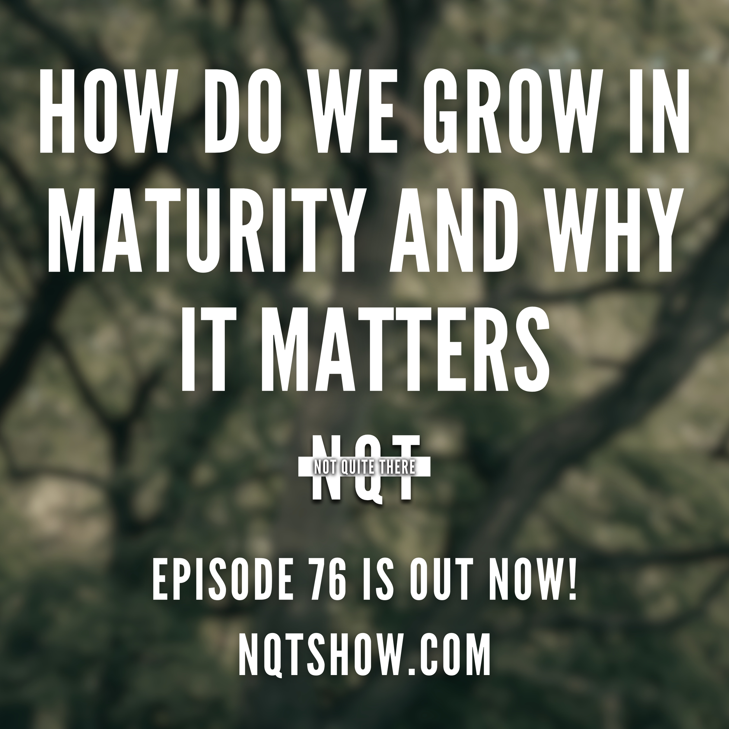 Episode 76 - How Do We Grow In Maturity And Why It Matters