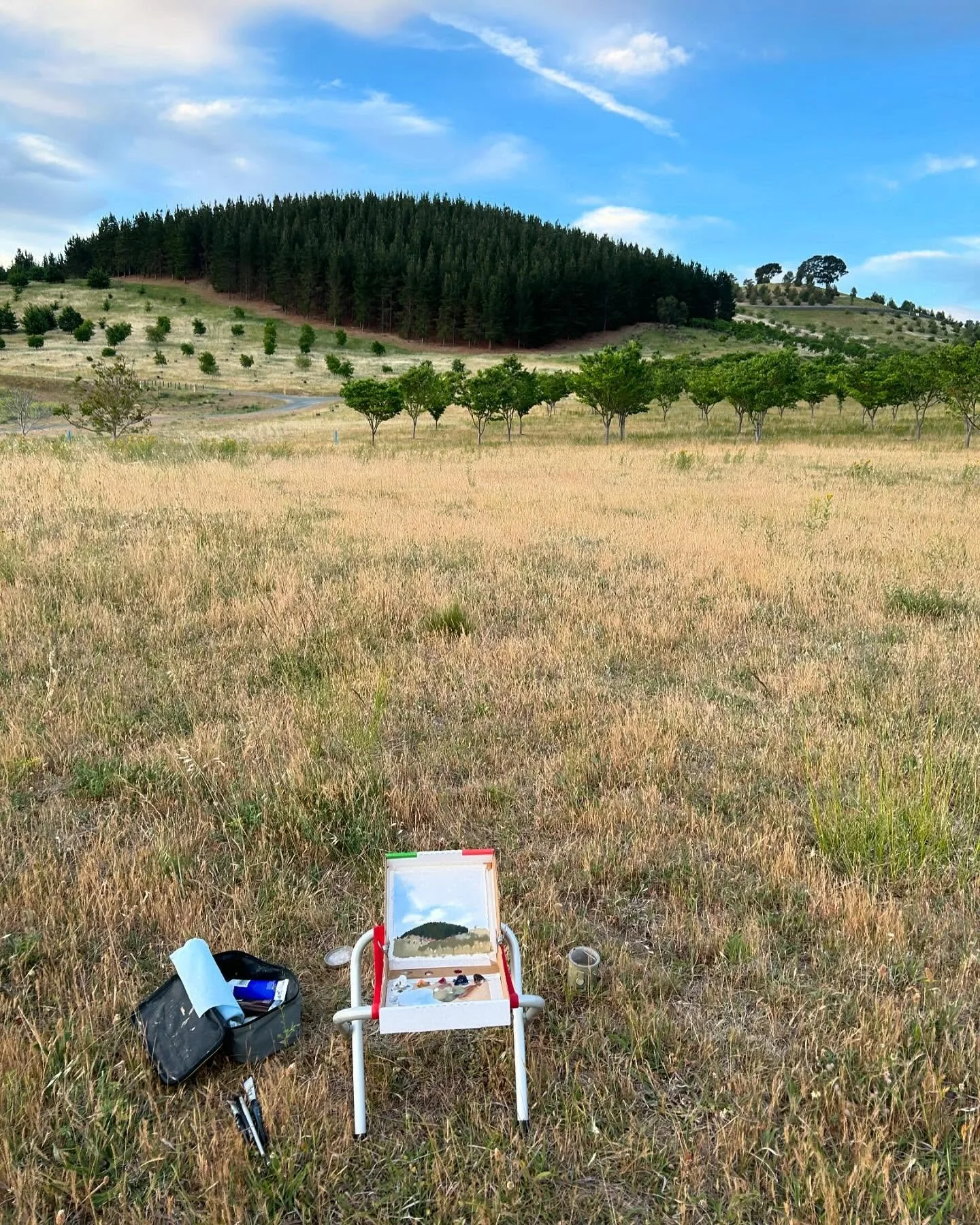 In the wild studio