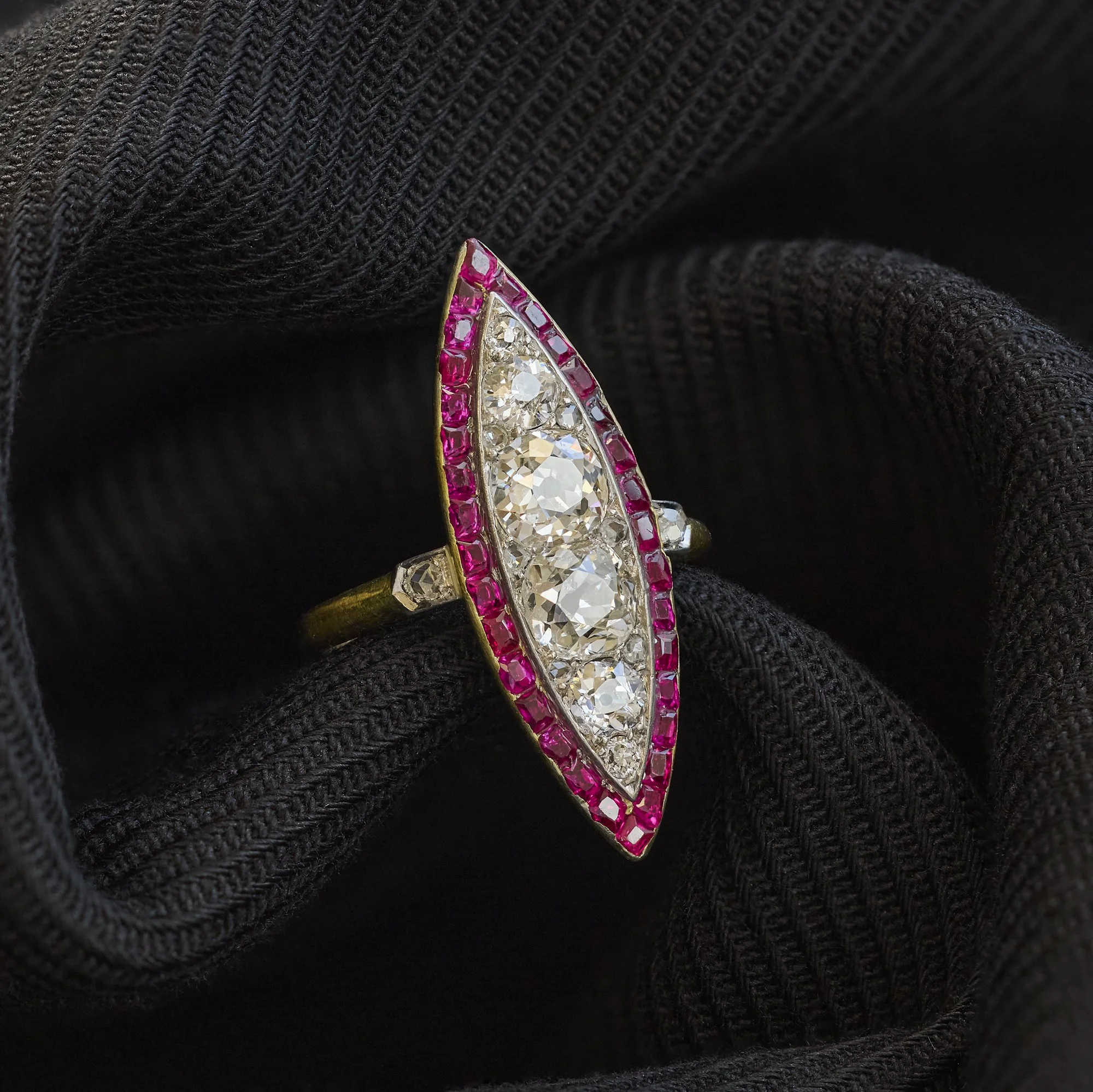 TVJ February 2025 - 791.jpg