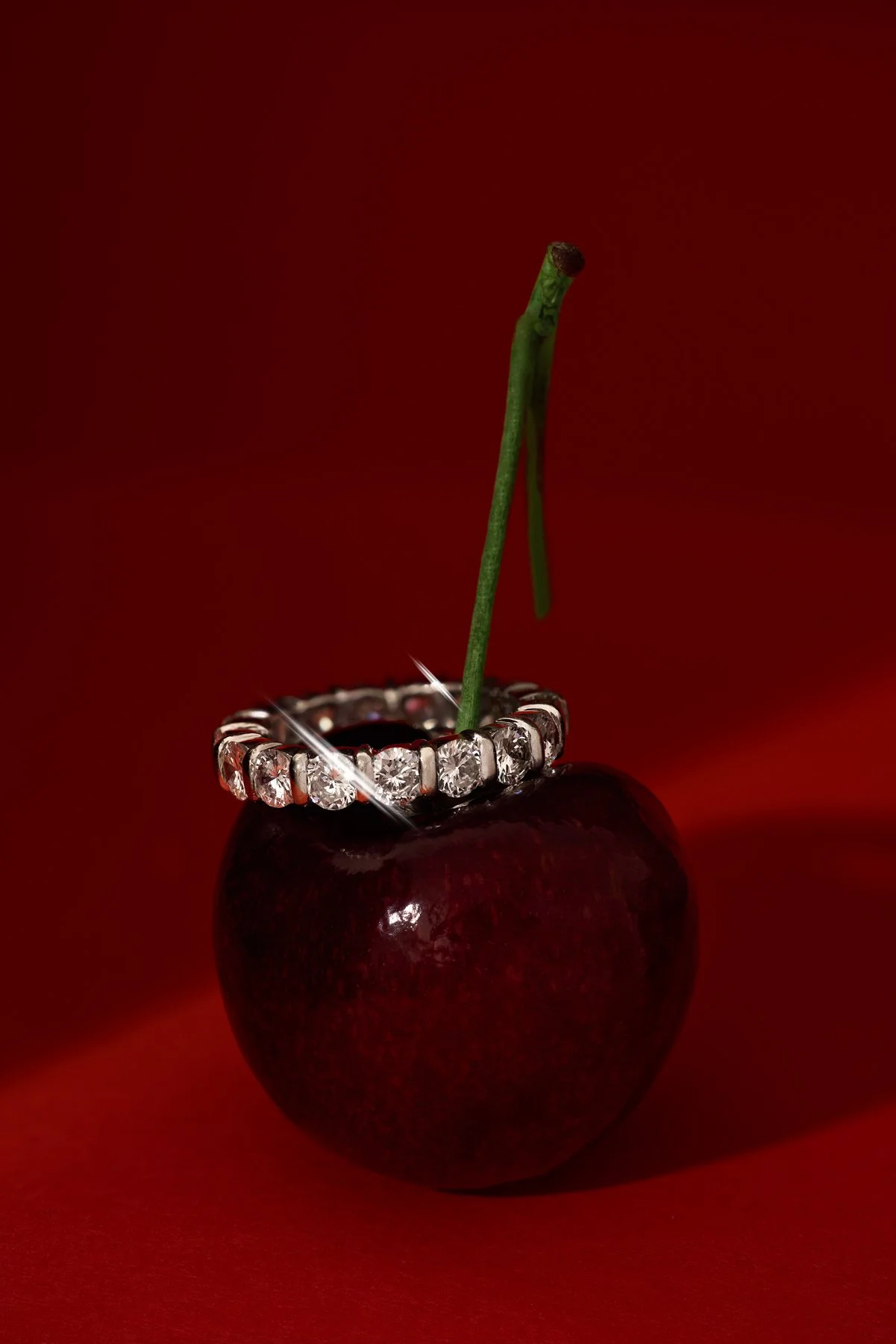 SNWStudios Portfolio - 65.jpg