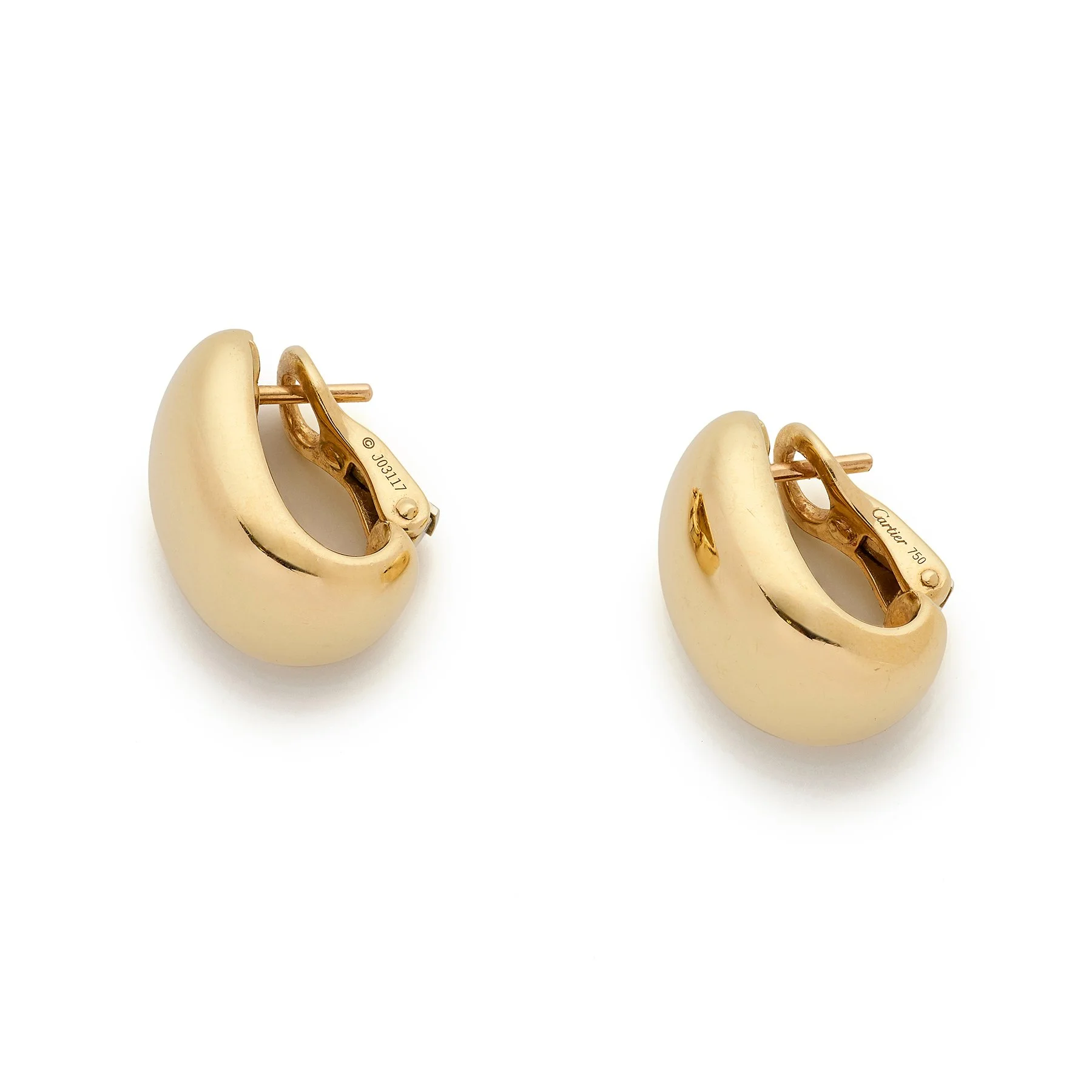 Eartha & Wolf November 2024 775.jpg