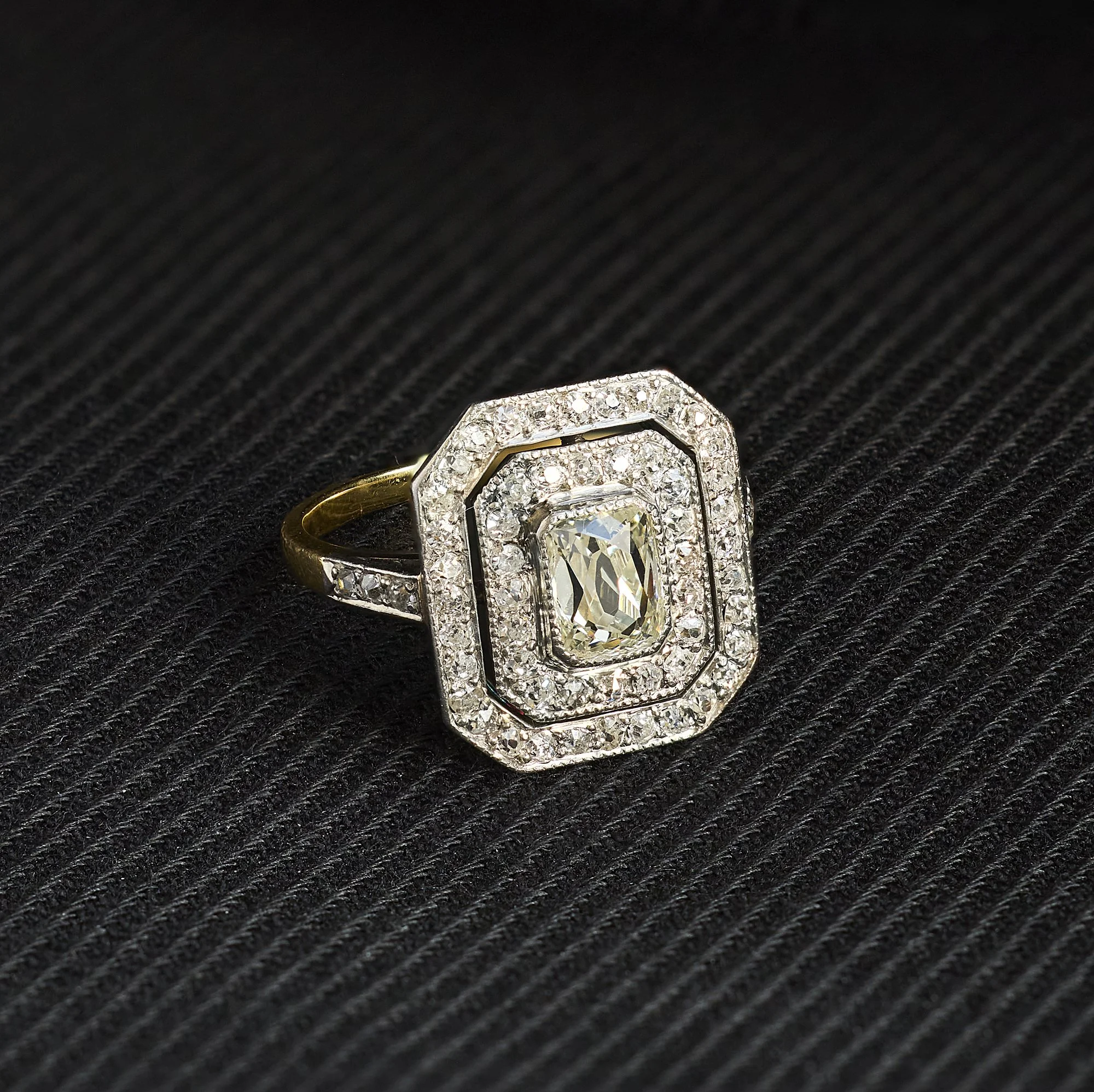 TVJ February 2025 - 530.jpg