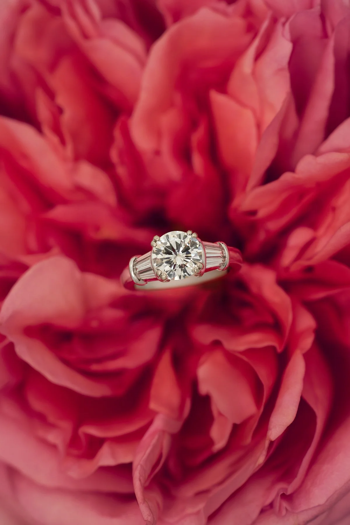 SNWStudios Portfolio - 413.jpg