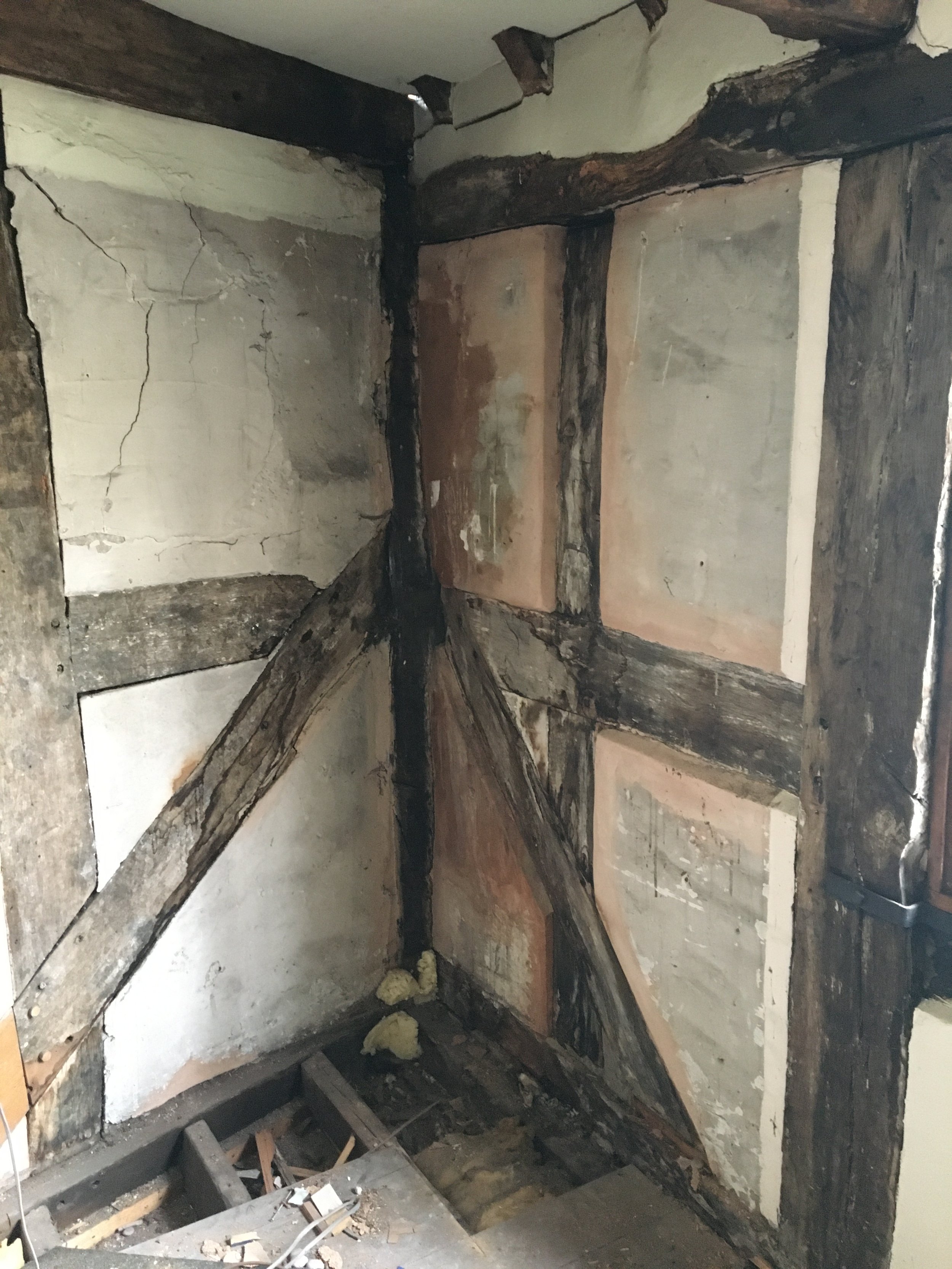 Moisture ingress to a timber framed building having resulted in wood boring beetle activity and the biological decay of structural timbers.