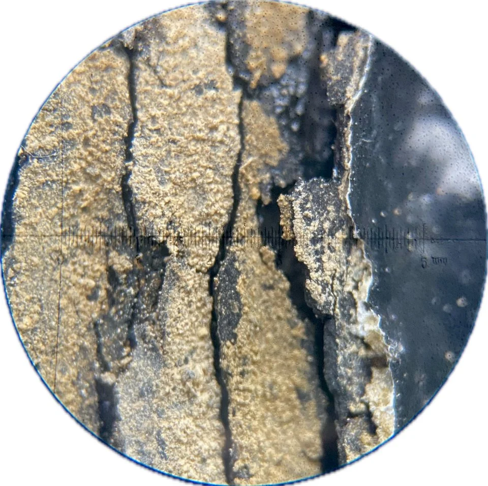 Heritage building survey to a grade 2 listed timber framed building - image shows a close up view of historic surface finishes under a handheld microscope, with lime wash and traditional pitch seen below the modern paint that restricts moisture.