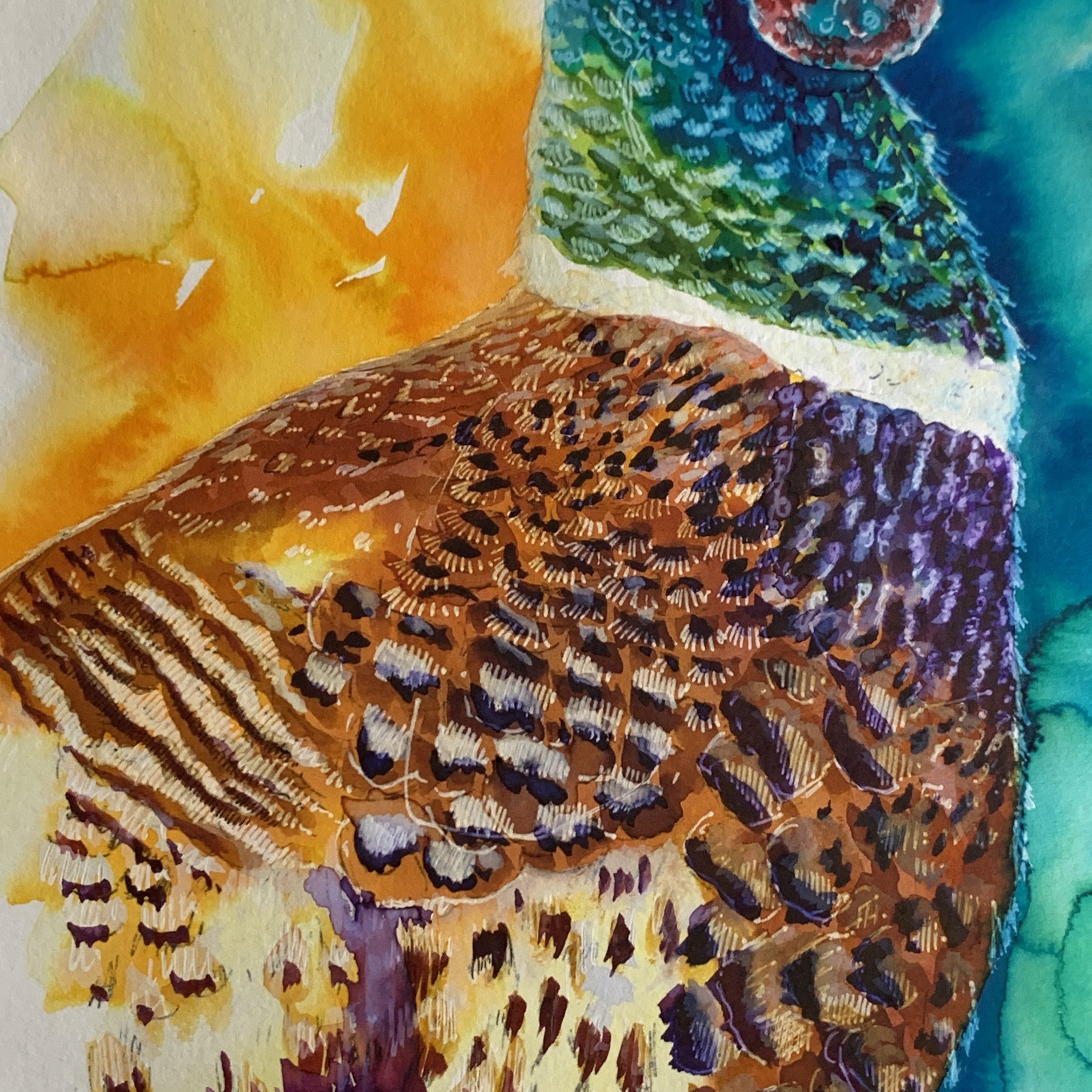 Mixed Media Painting - Pheasant - a colourful painting in watercolour, gouache and inks