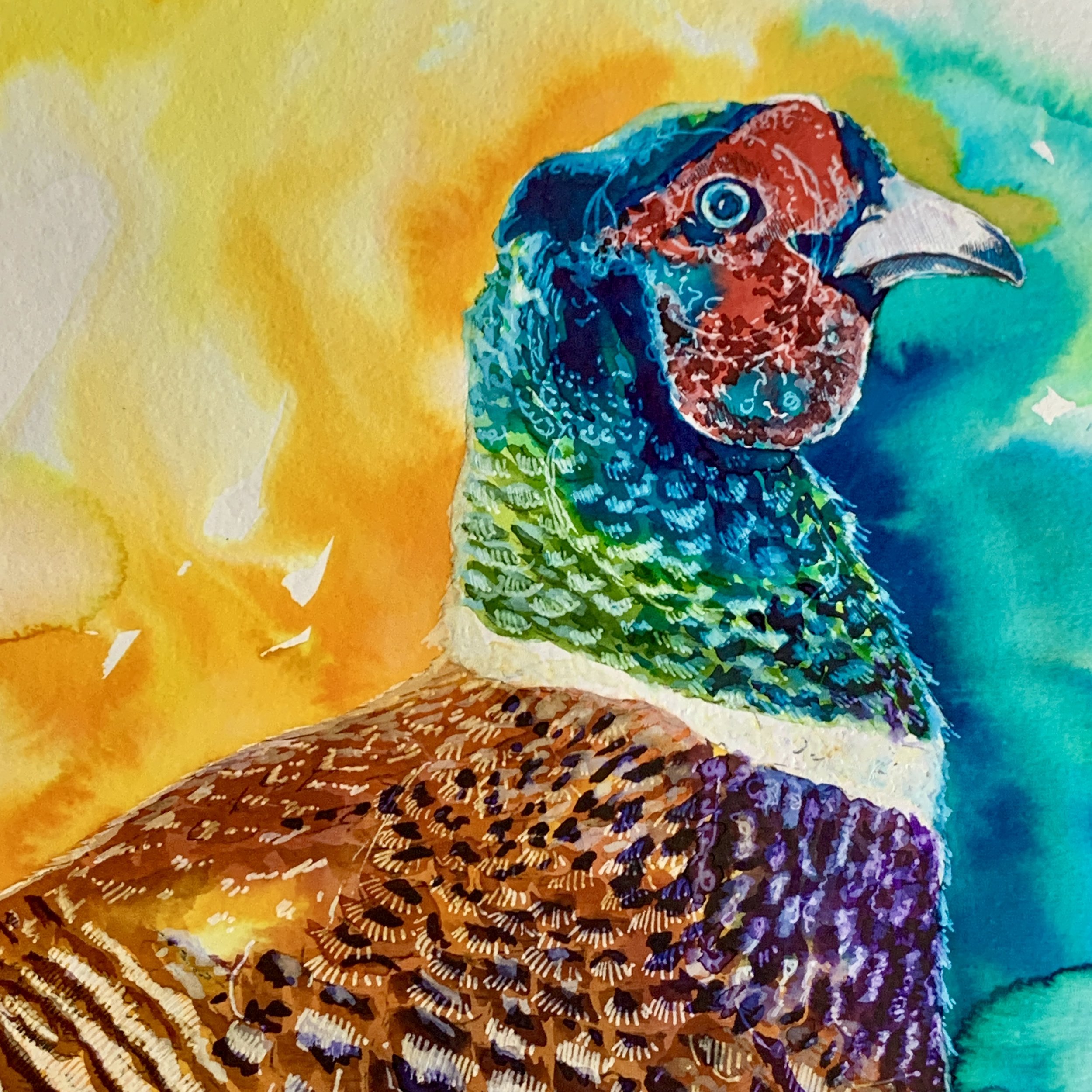 Mixed Media Painting - Pheasant - a colourful painting in watercolour, gouache and inks