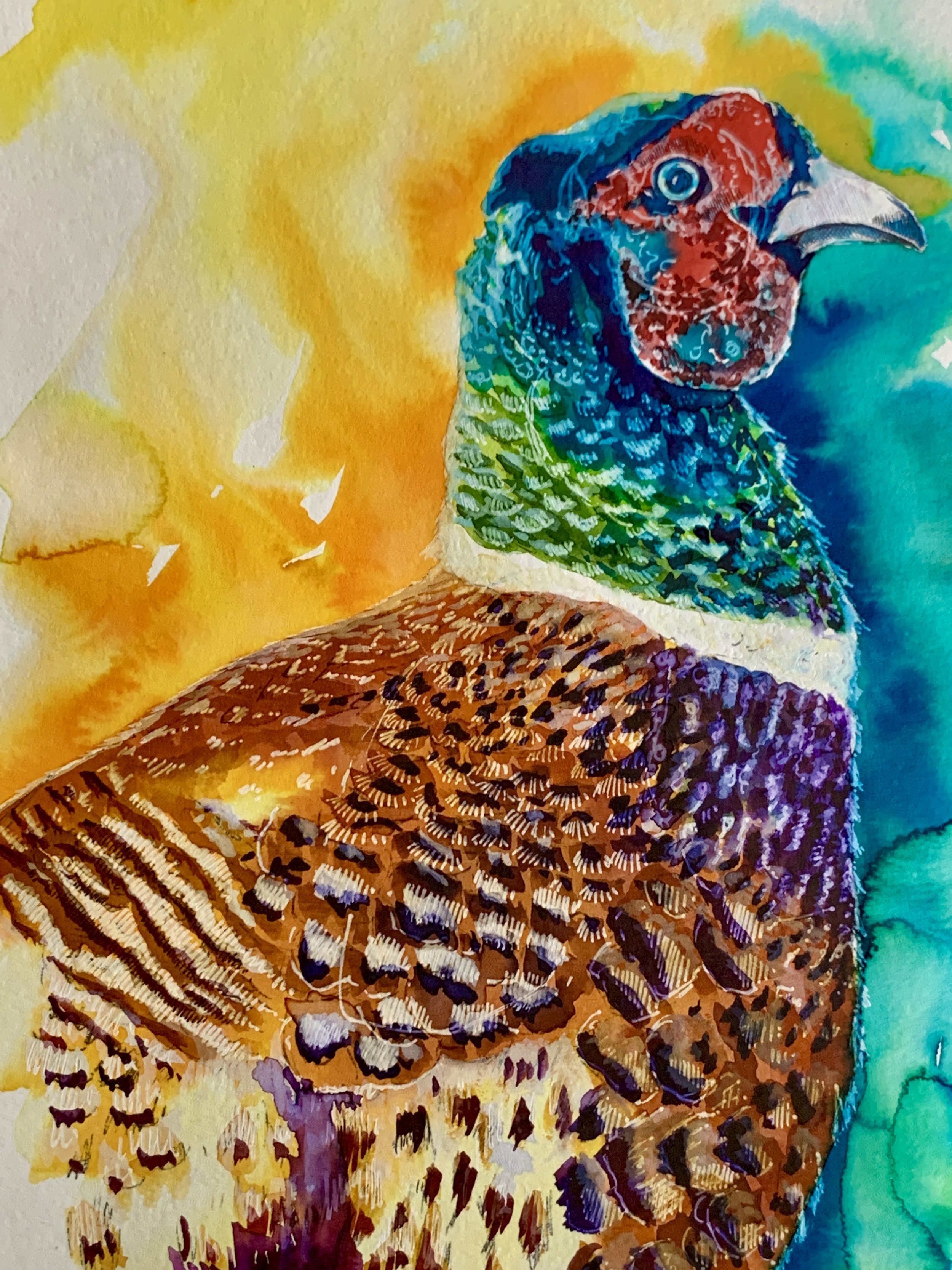 Mixed Media Painting - Pheasant - a colourful painting in watercolour, gouache and inks