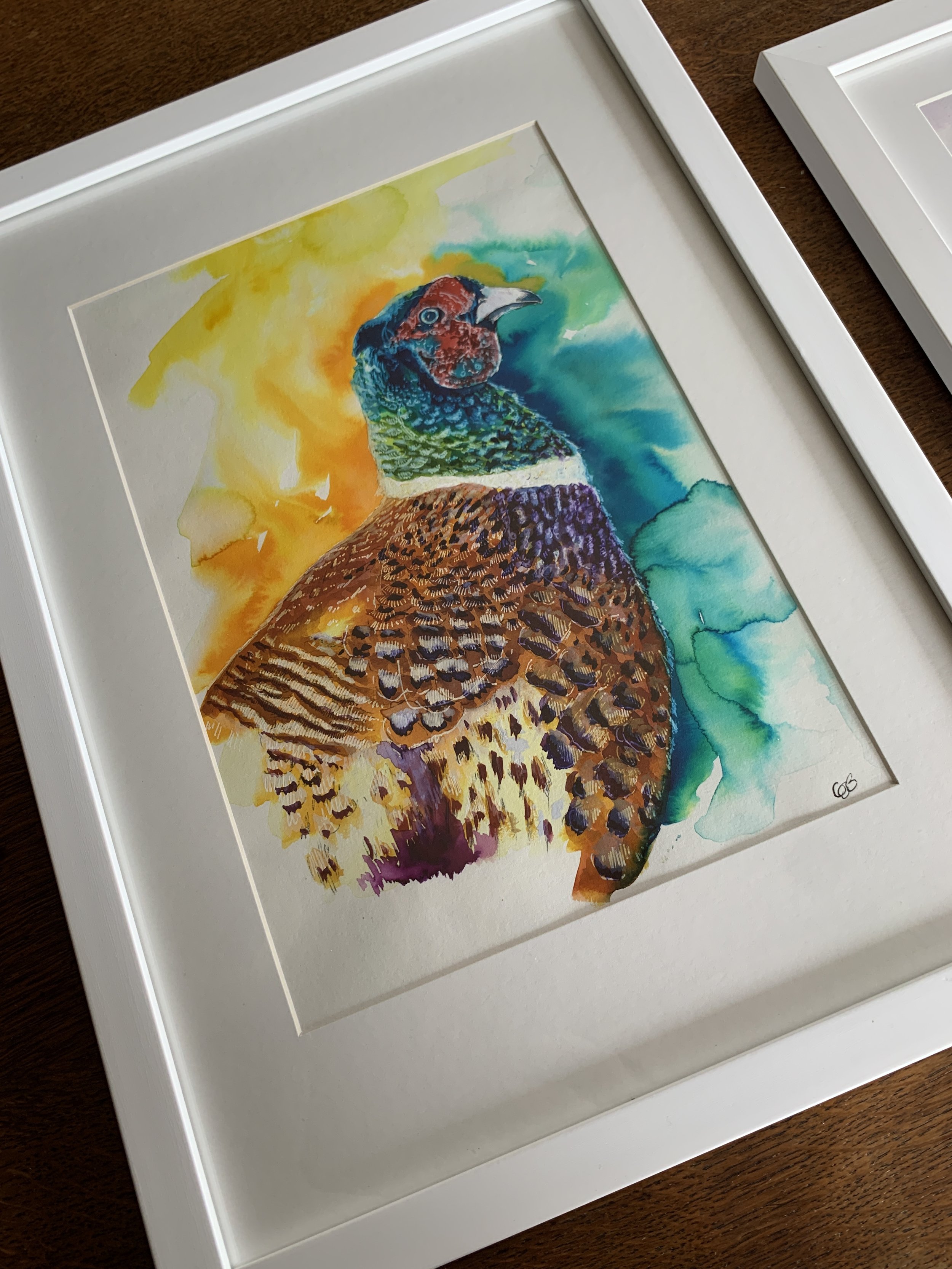Mixed Media Painting - Pheasant - a colourful painting in watercolour, gouache and inks (framed)