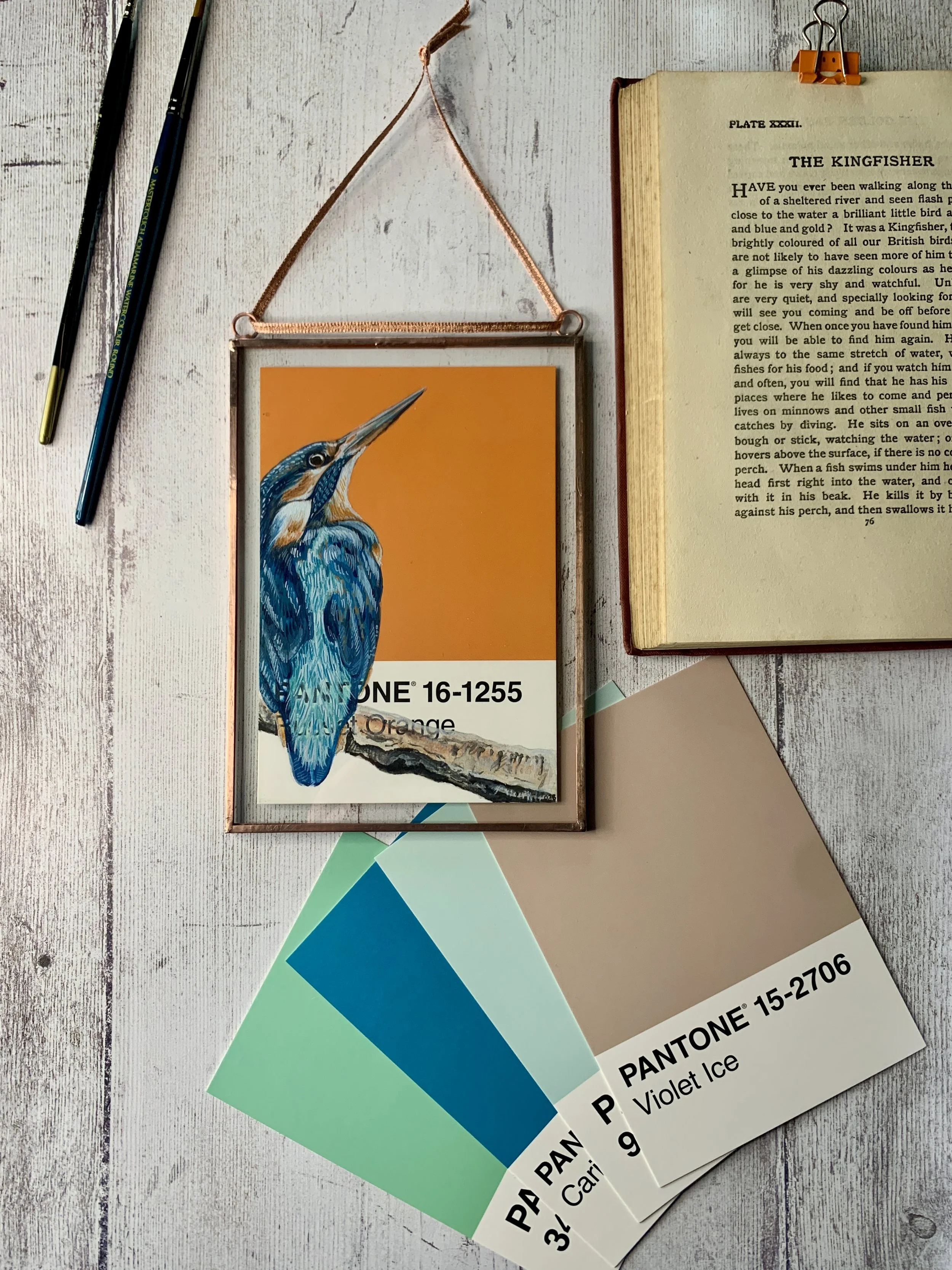 Kingfisher - Pantone Postcard #16-1255 Russet Orange