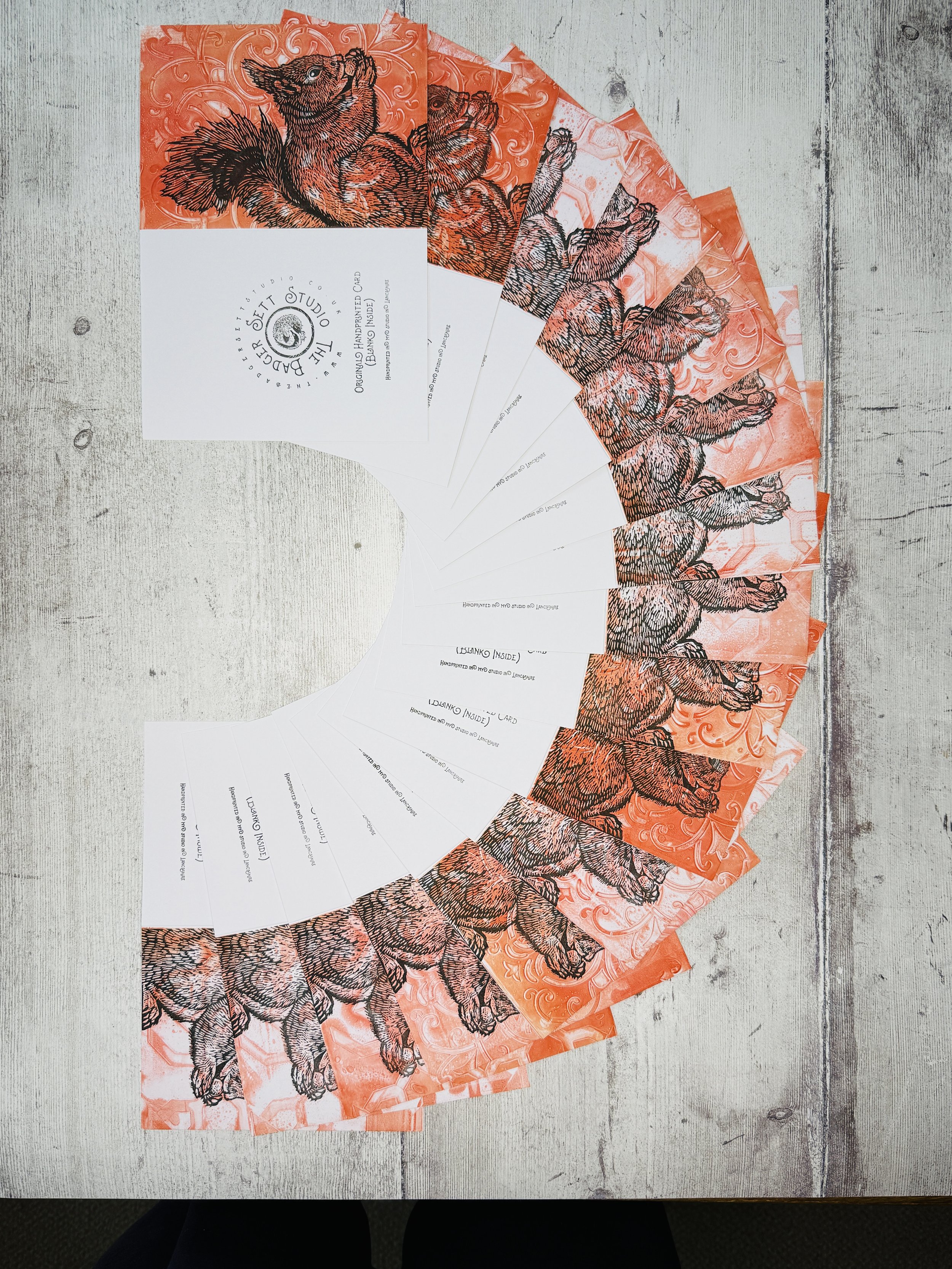 The Badger Sett Studio Handprinted Lino Print Red Squirrel Cards arranged in a fan shape.jpg