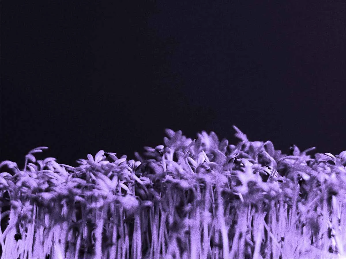 Why Ongoing Creative Support Is What Actually Grows Your Business