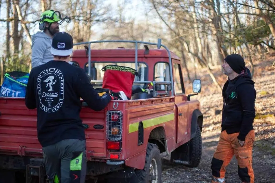 tree-service-workers-off-road-vehicle.jpg
