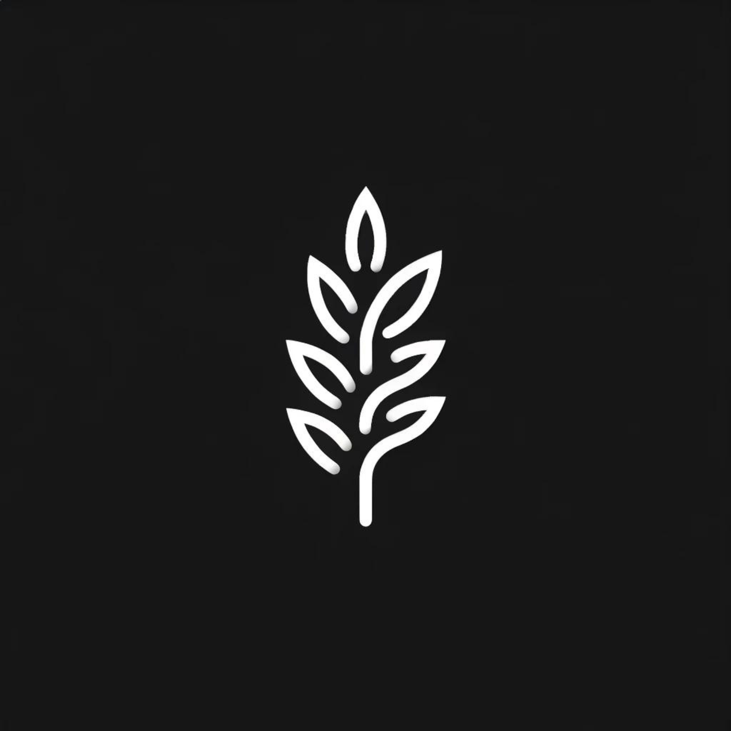 our stories. — Romulus Media