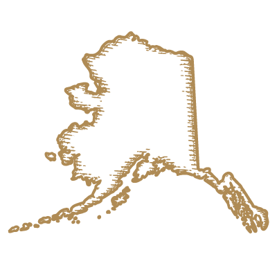 Outline of the state of Louisiana with a small chain link at the bottom.