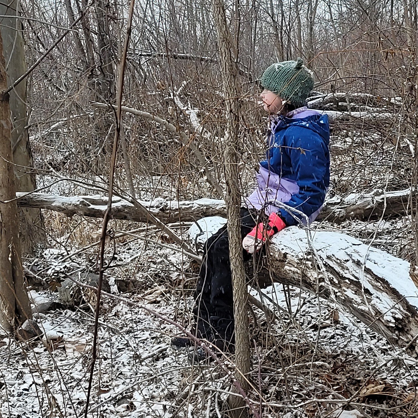 Yesterday, after being confined in the house for a few days due to sickness, our child suggested we go to Ft. Hunter. It was snowing. I wasn't super jazzed about being cold. I didn't want to dress in multiple layers. But I did it and my child was rig