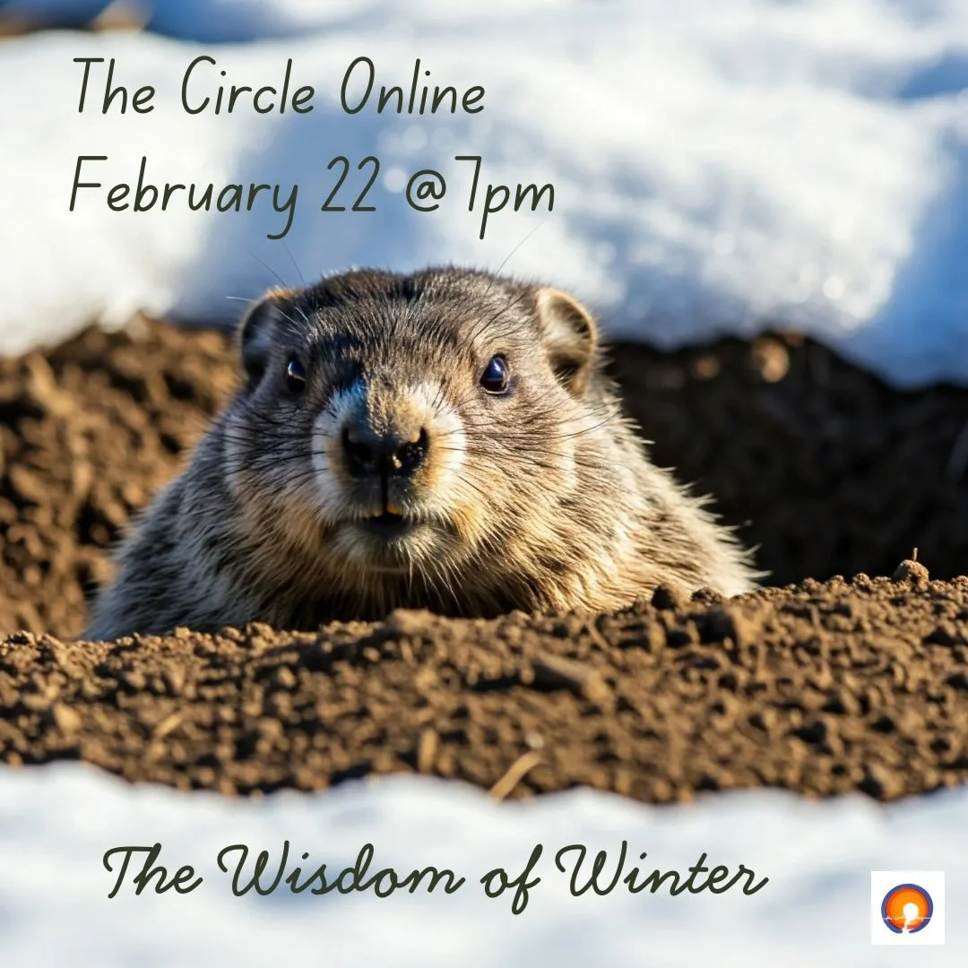 I know many of us are bummed that Punxsutawney Phil said six more weeks of winter yesterday.  With this long bitter cold spell and snowfall many of us are eager for an early spring and all that comes with the season. 
Winter asks a lot of us, maybe e