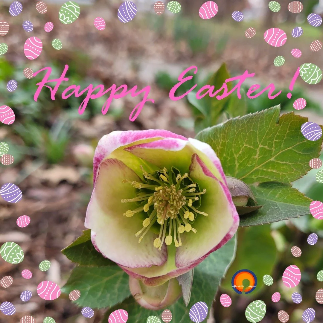 Happy Easter to those who are celebrating! 

#thecirclehbg
#thecircleonline
#queercommunity
#queeradjacent
#alliestoo