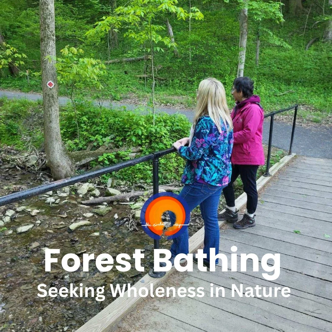 Thank you to Elizabeth Mills for leading a beautiful Forest Bathing session for The Circle Hbg. We spent time in reflection, enjoying the sounds, feel, and sights of the trees and beauty around us, shared our reflections in community, and ended with 