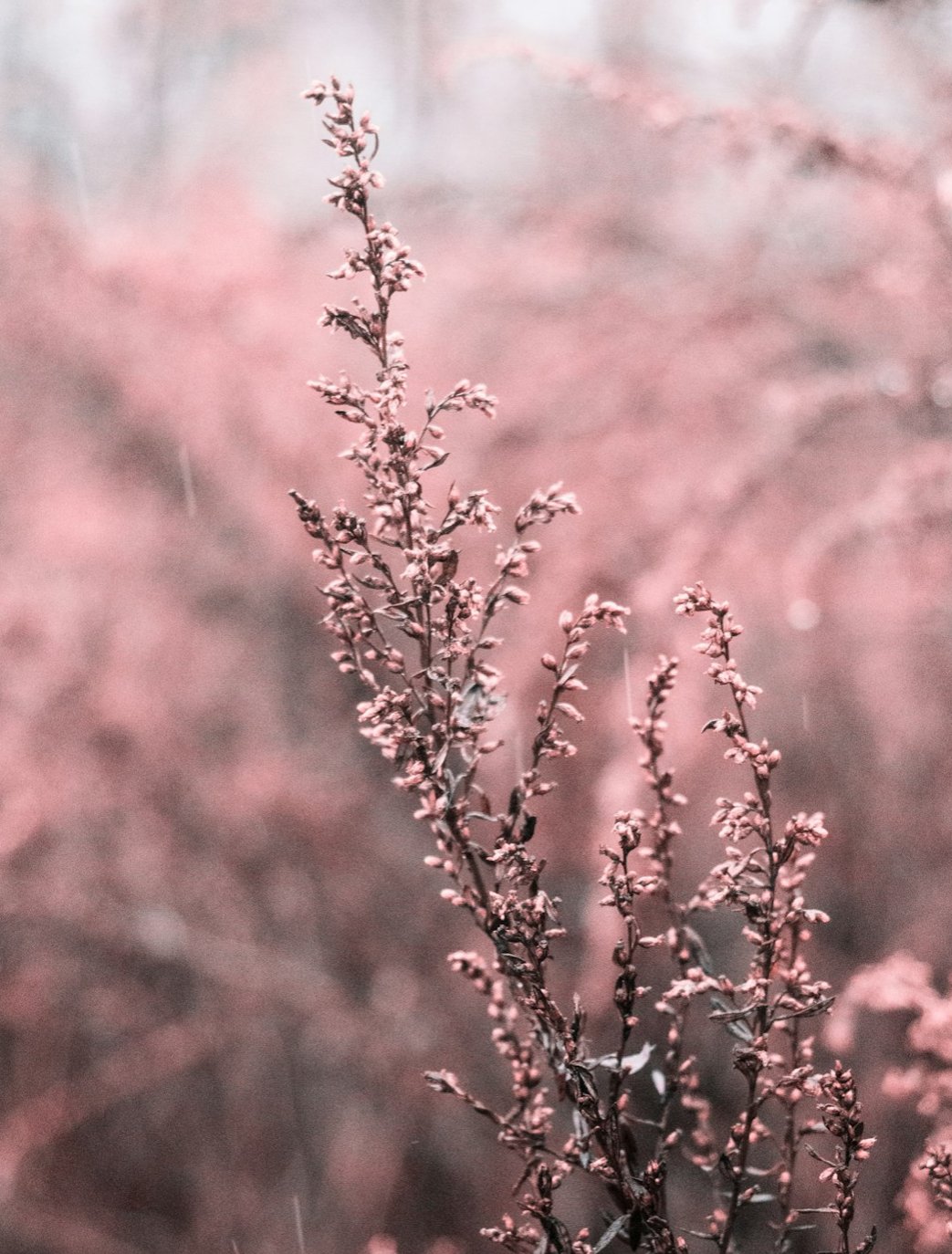 The Two Parts of Shame