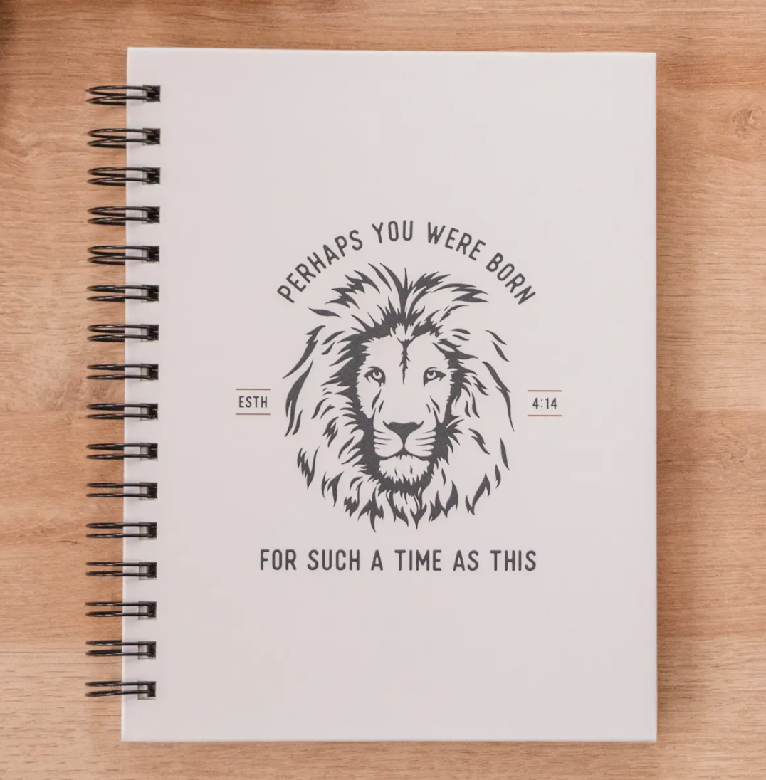 Screenshot 2026-03-07 at 11.28.36 AM.png