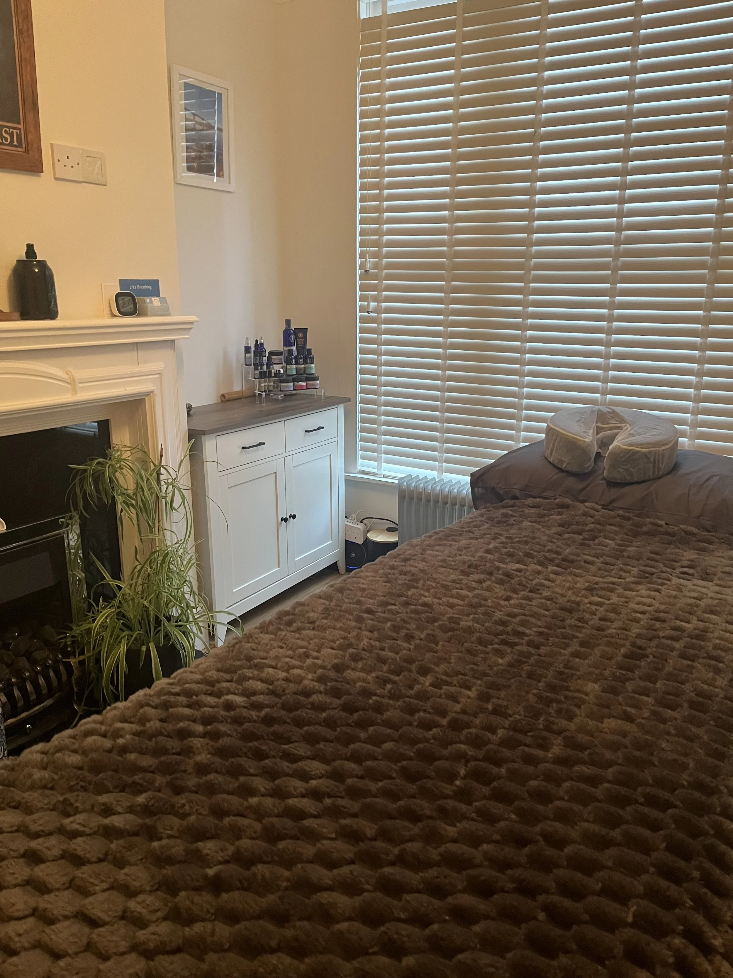 A cozy bedroom with a large brown textured bed, a window with closed blinds, a white cabinet with essential oils on top, a green potted plant near a fireplace with a hearth, and some framed pictures on the wall.
