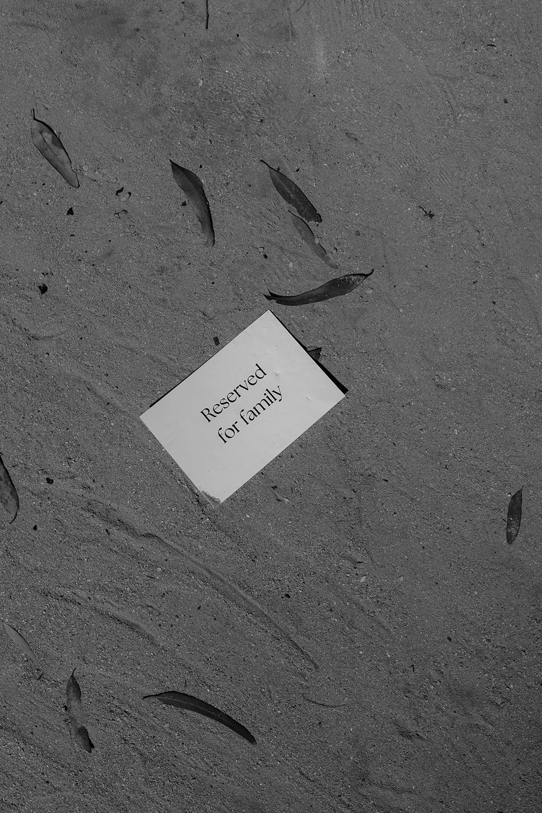 Sahil + Kim -_-121.jpg