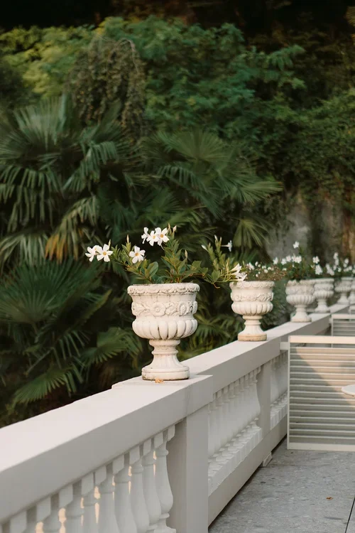 Row of ornate carved stone urn planters filled with white flowers lining a white balustrade terrace with lush tropical palm greenery behind