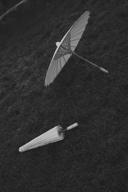 sun-umbrellas-on-grass.webp