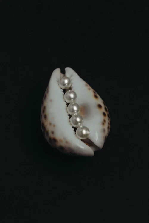 Pearl beads nestled inside a cowrie shell on a black background, luxury wedding brand detail photography
