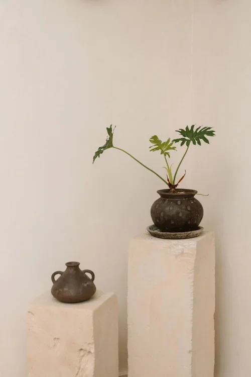 Dark textured ceramic pot with philodendron plant and small ceramic jug displayed on raw plaster plinths against a white wall at a Malaga wedding venue