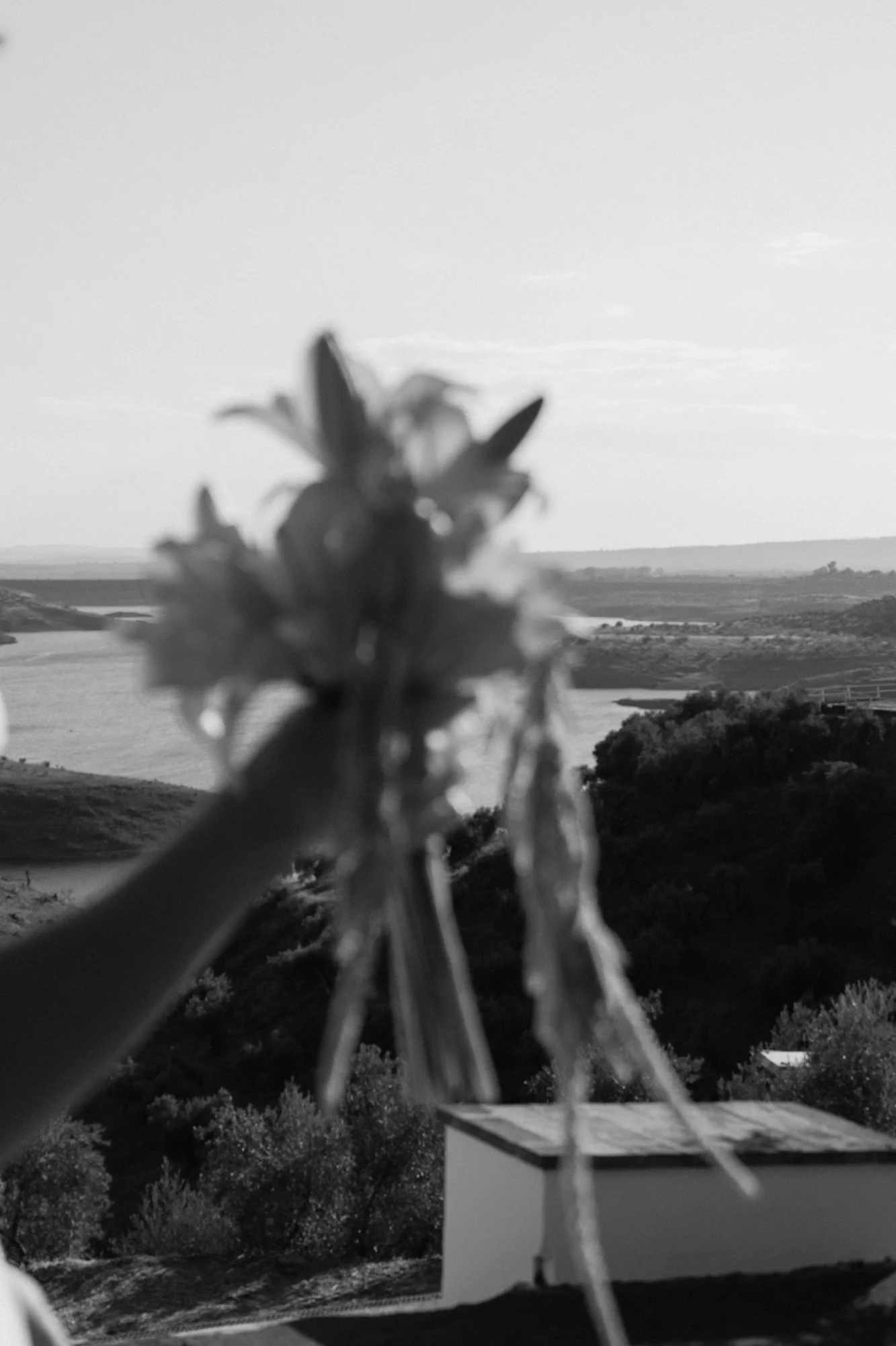 Artistic wedding bouquet detail with sweeping Andalusian countryside landscape in the background