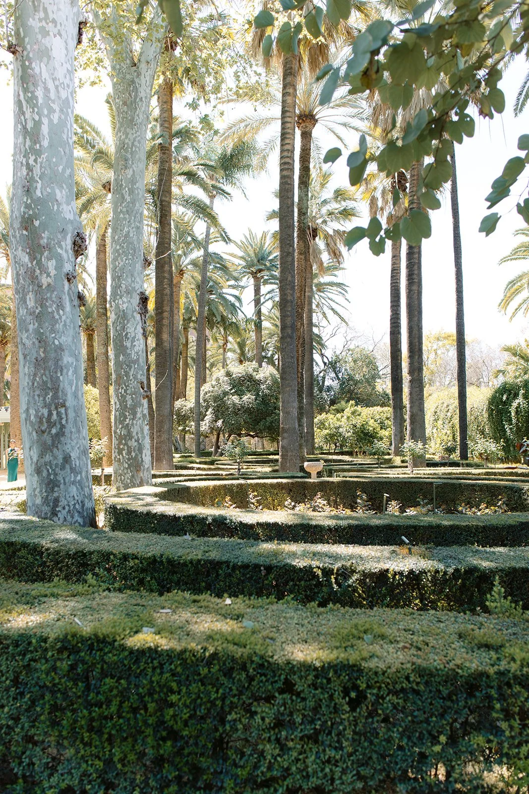 Sahil + Kim -_-39.jpg