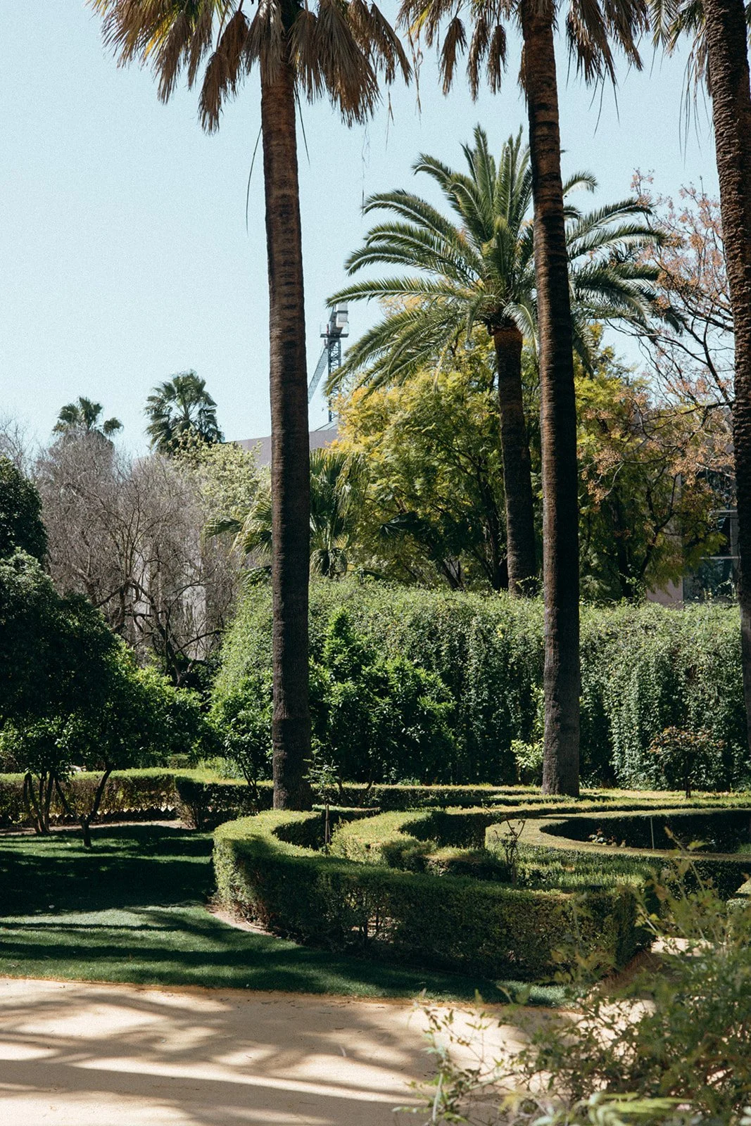 Sahil + Kim -_-127.jpg