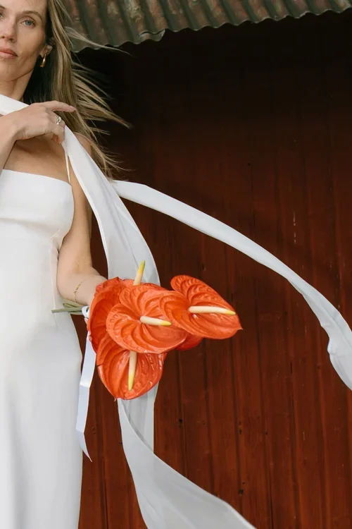 Bride in white strapless dress holding bold red anthurium flowers with a flowing cape, editorial wedding photography