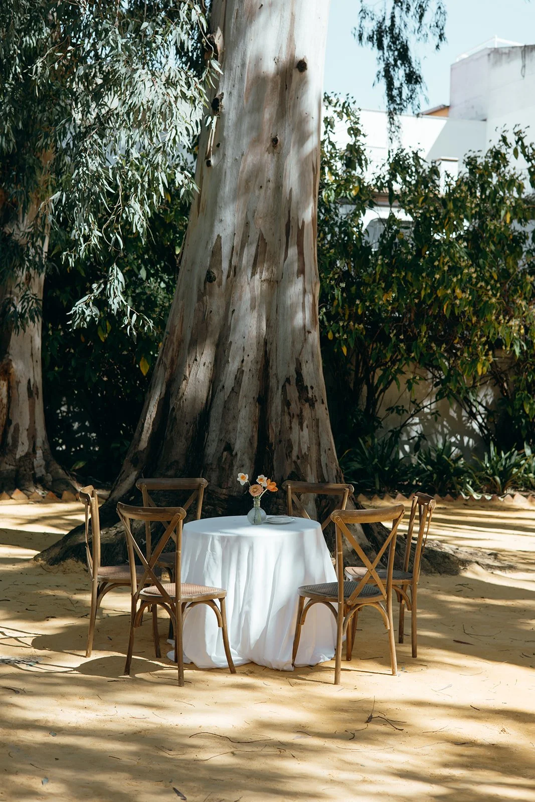 Wedding reception table under a eucalyptus tree in Marbella