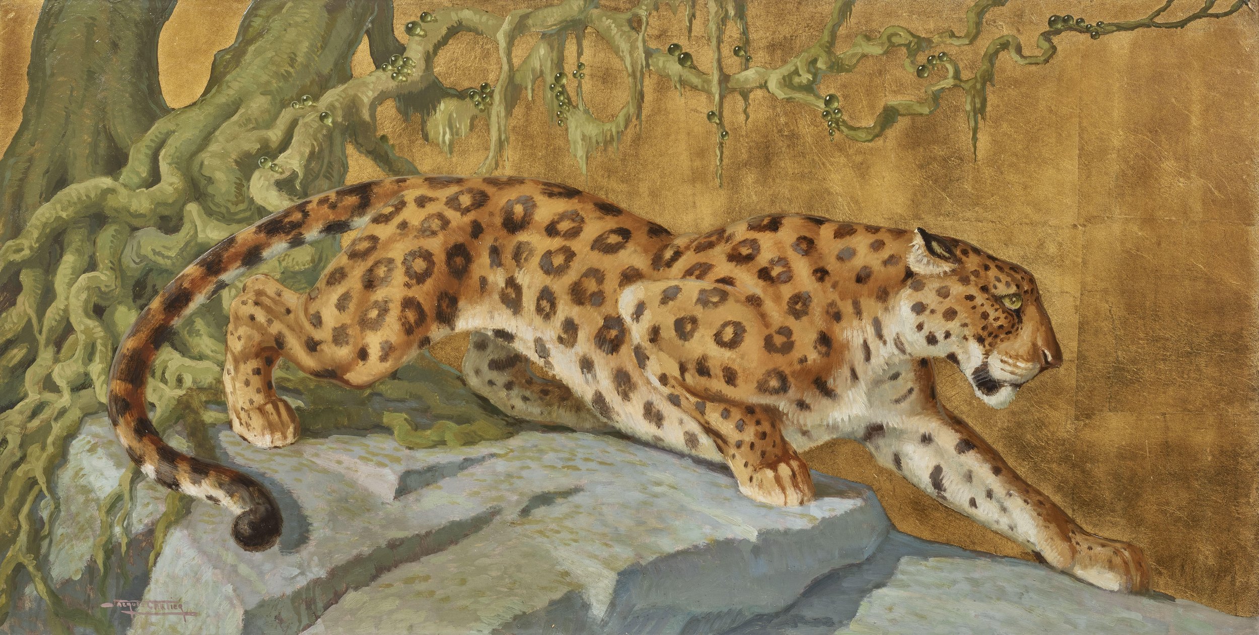 Jacques CARTIER jaguar.jpg