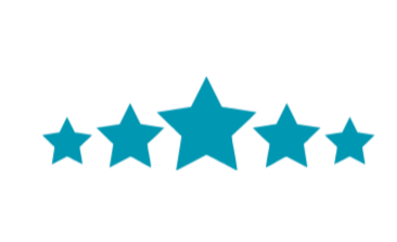 High standards icon