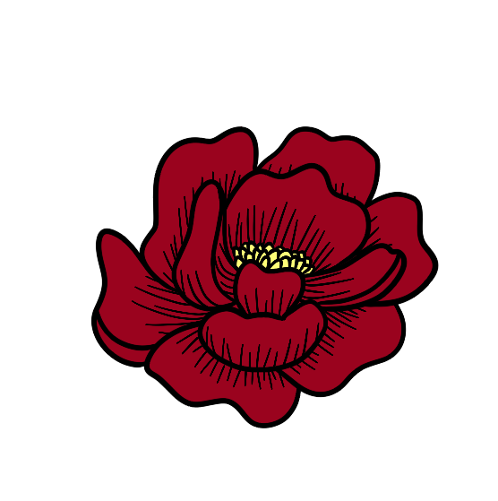 IMG_0673.png