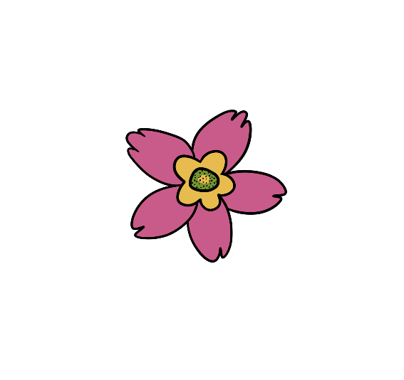 IMG_0647.png