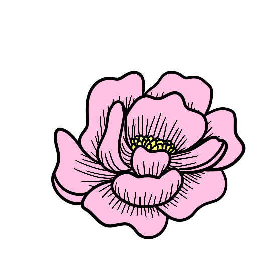 IMG_0678.png