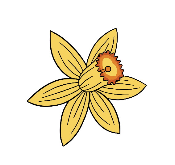 Daffodil (2" x 1.99")