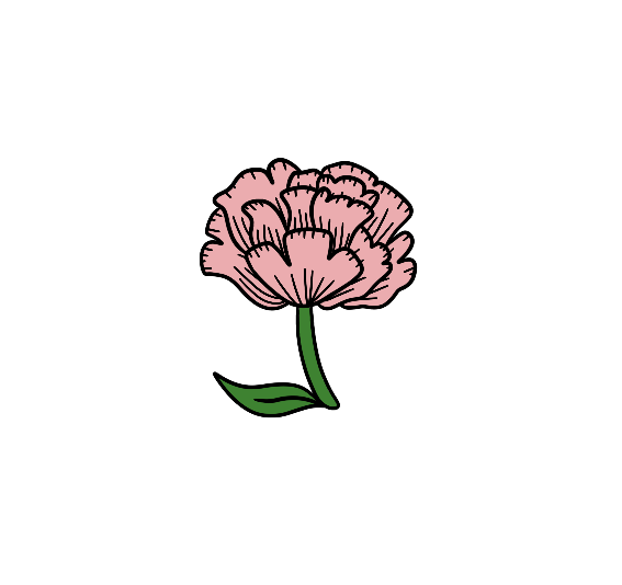 IMG_0656.png