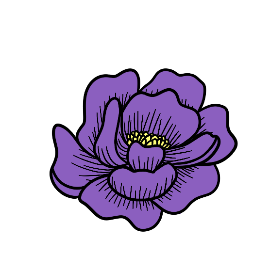 IMG_0675.png