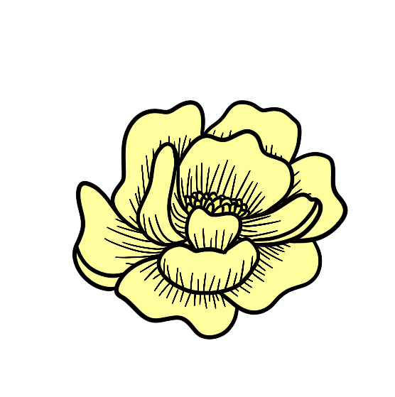 IMG_0672.png