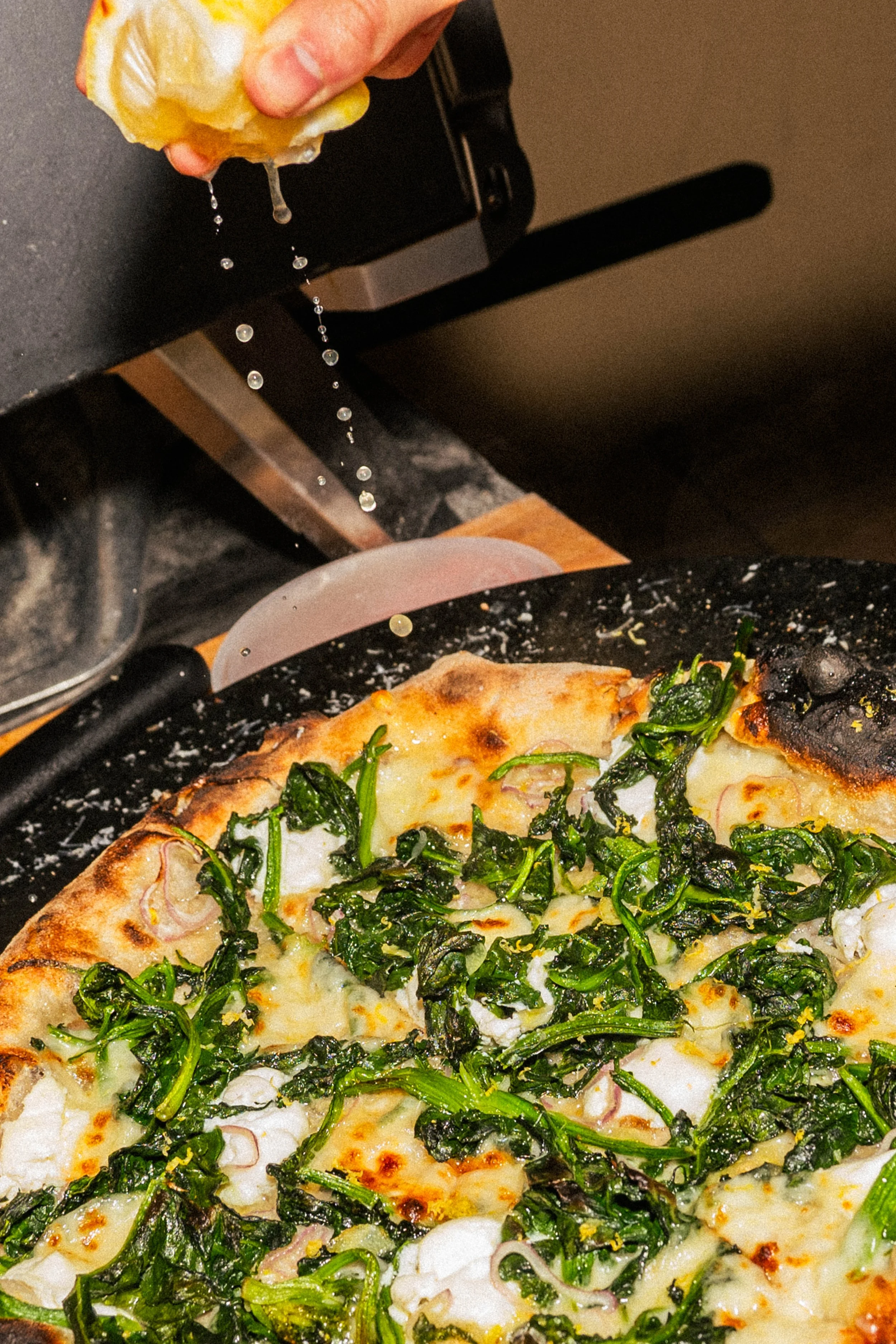 LupePopUp-49 copy.jpg