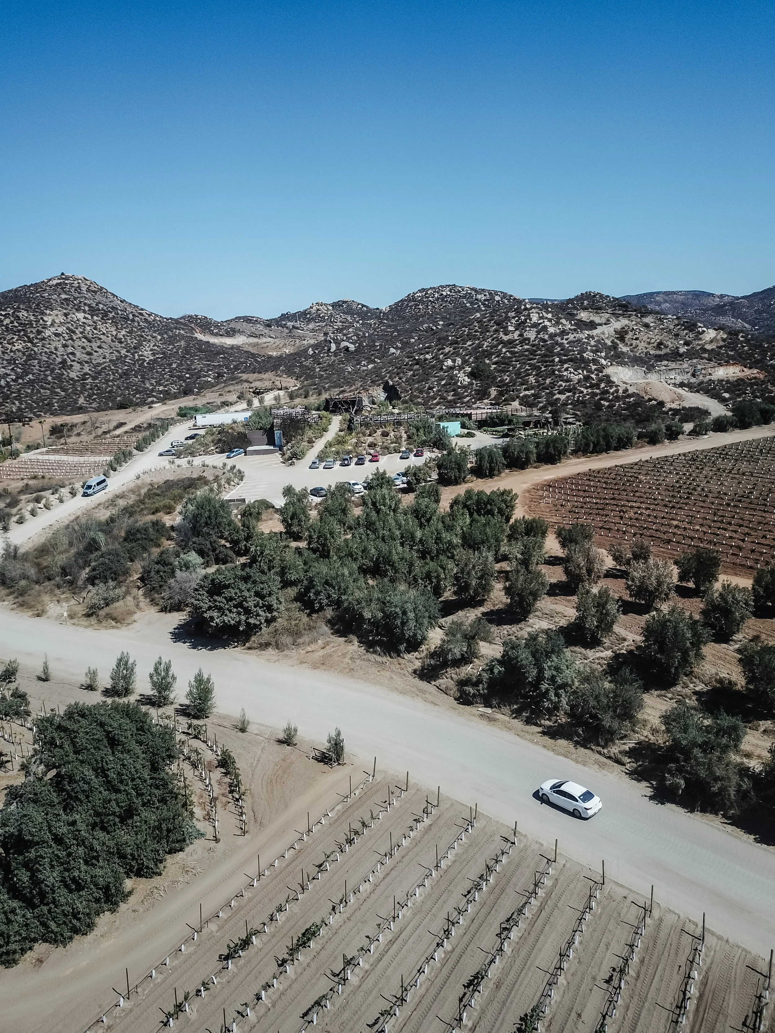 Mex_Rentacar_ALTA-0068.jpg
