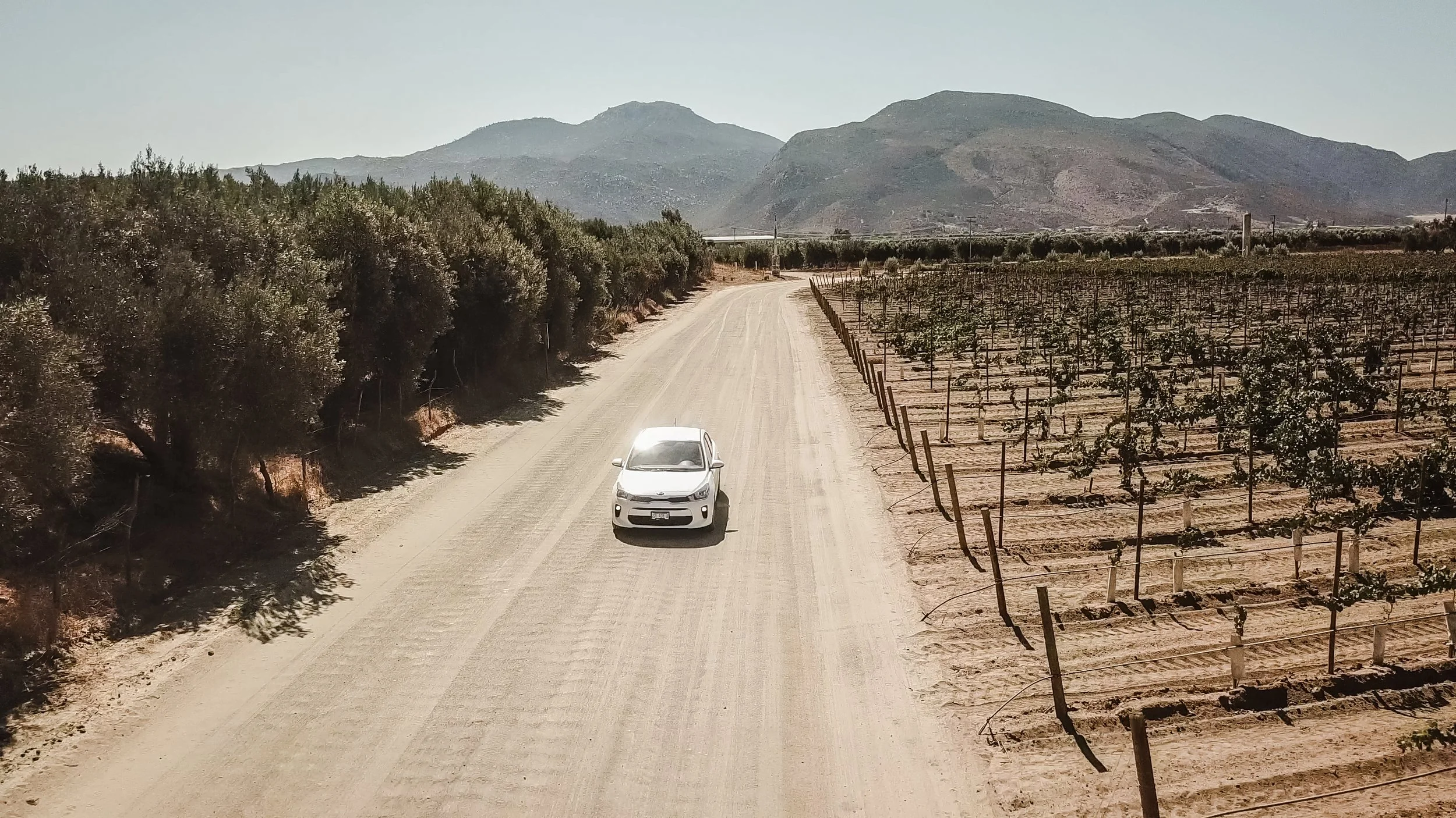 Mex_Rentacar_ALTA-24.jpg